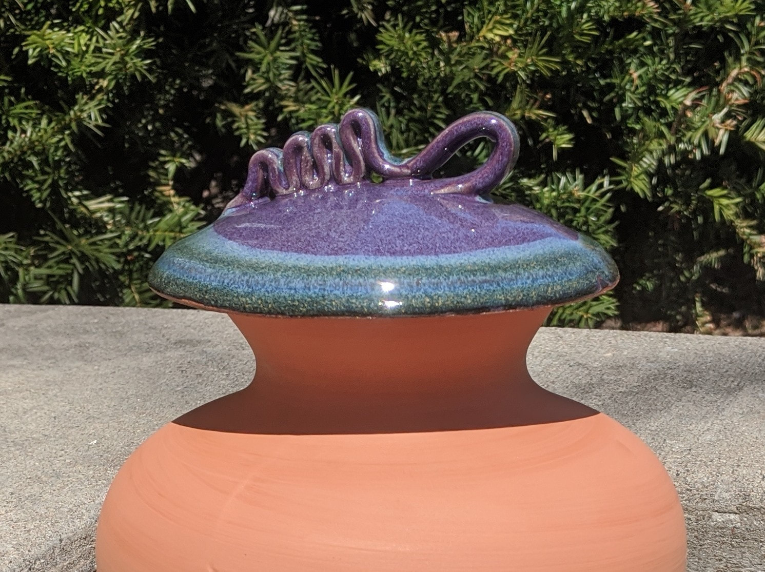 What's an Olla … and Where Can I Find One? - Laidback Gardener